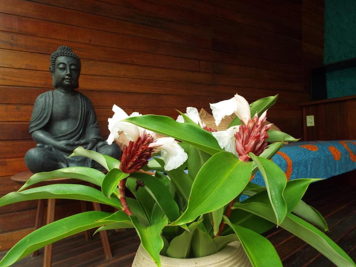 Velha Boipeba Jardim Uixa 빌라 외부 사진